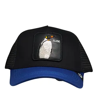 Slide Pingüino