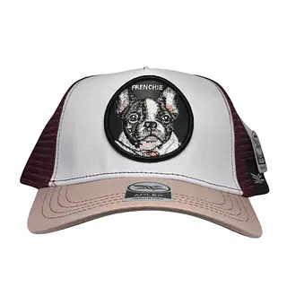 Adler Frenchie
