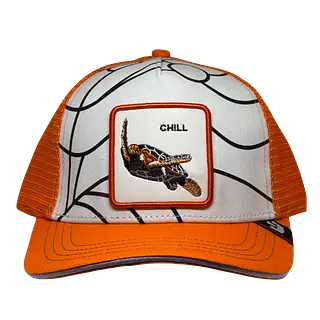 Chill Cambia Color
