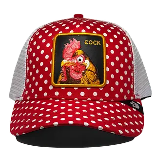 Cock Campo