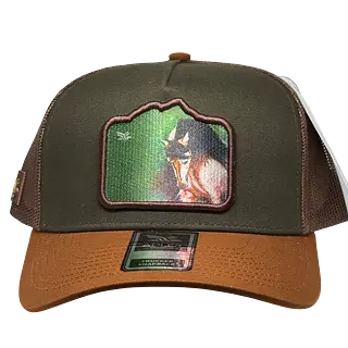 Adler Paso Fino
