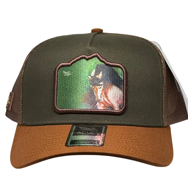 Adler Paso Fino