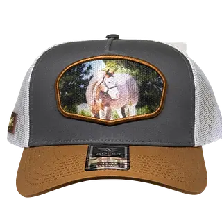Adler Equino