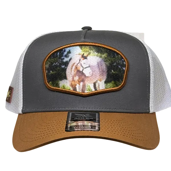 Adler Equino