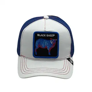 Black Sheep Blanca