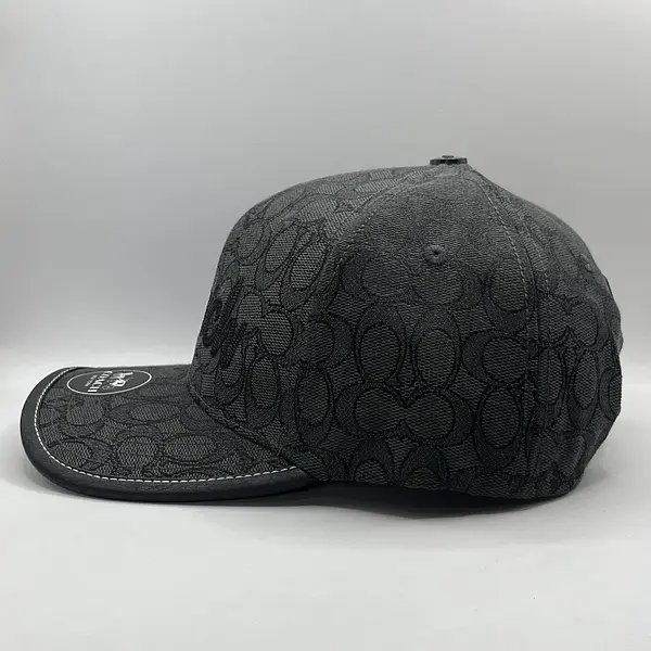 Coach Gris Estampada