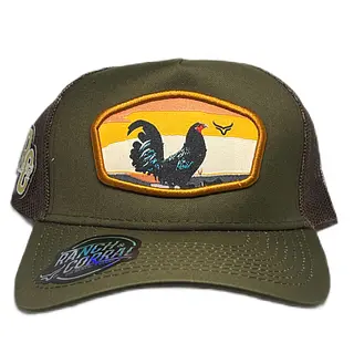 Gallo Fino Verde