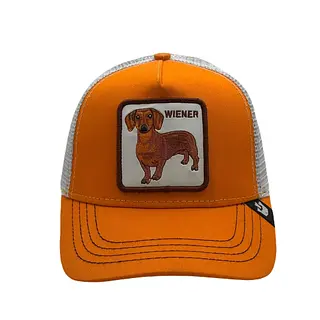 Wiener Perro Naranja
