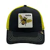 Queen Abeja Negra Amarilla