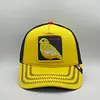 Alarmist Pájaro Amarilla